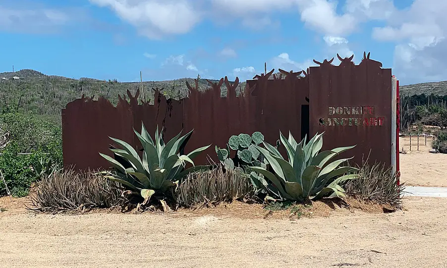 brown sign at the entrance to the Aruba Donkey Sanctuary