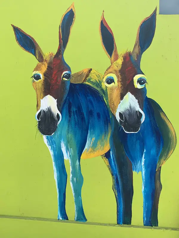 blue and green mural of two donkeys on the wall of the Visitors Center at the Aruba Donkey Sanctuary