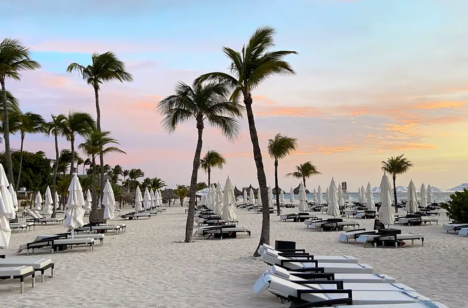 White beach chairs and umbrellas underneath palm trees on Manchebo Beach in Aruba at sunset