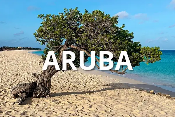 photo of a beach and a divi divi tree with the word “Aruba” typed across it