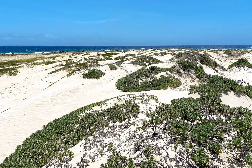 California Sand Dunes beside the ocean in Aruba