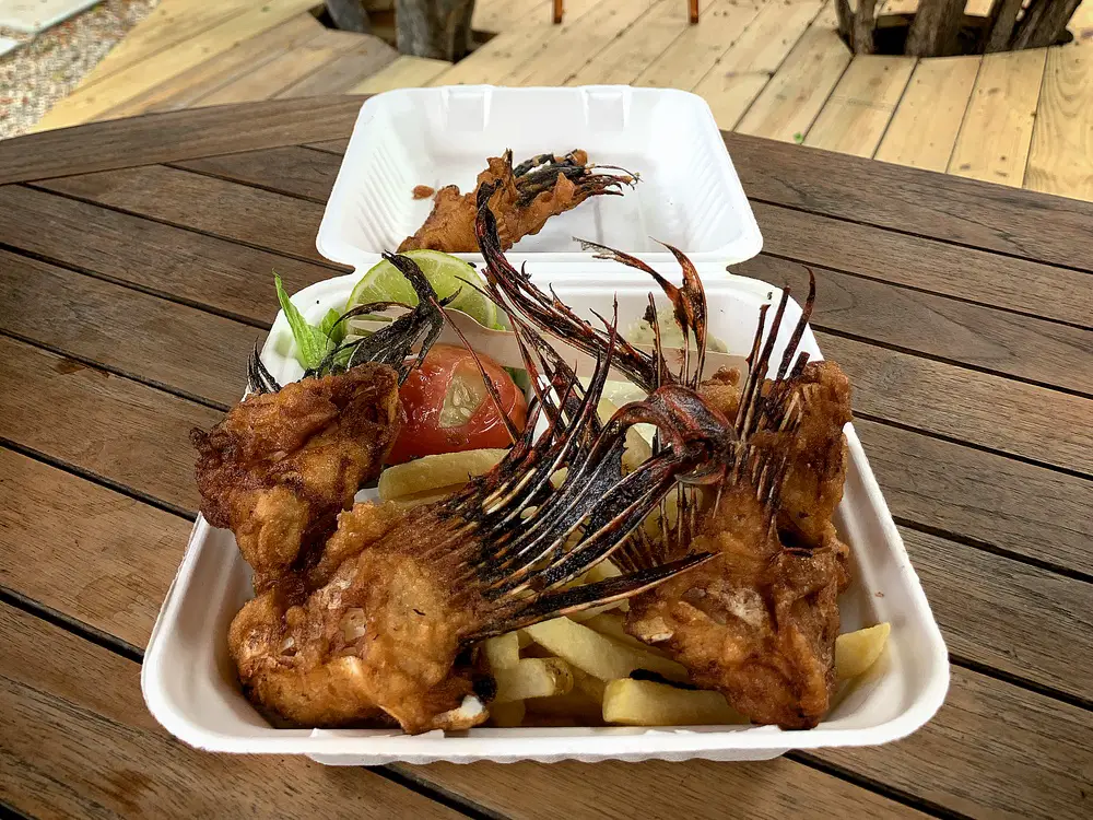 fried lion fish and french fries at The Lion Fish Snack in Aruba