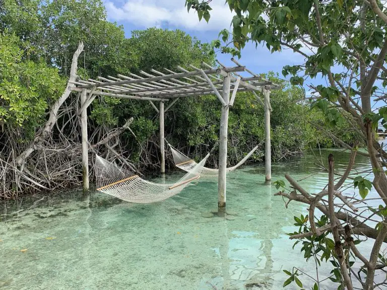 Flamingo Beach: How to Chill With Flamingos in Aruba - Traveling Twilley